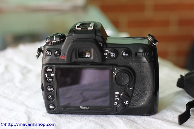 Nikon D300, Lens 18-105mm VR, FLash Nikon SB600 - 2