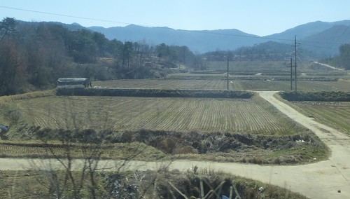 Co-Gwangju-Suncheon-bus (10)