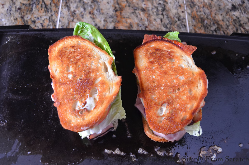 Loaded-Sharp-Cheddar-and-Black-Forest-Ham-Grilled-Cheese-Sandwich-Golden-Brown.jpg