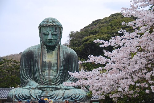 鎌倉大佛 The Great Buddha in Kotoku-in