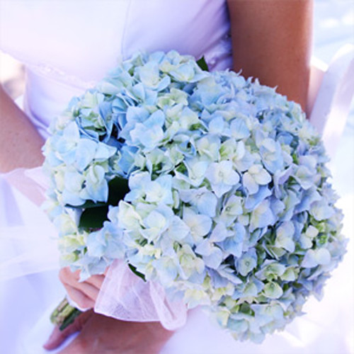 Light-Blue-Wedding-Flowers
