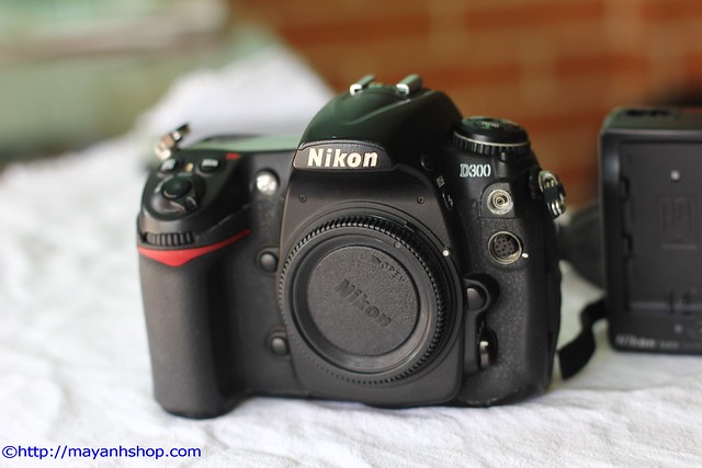 Nikon D300, Lens 18-105mm VR, FLash Nikon SB600