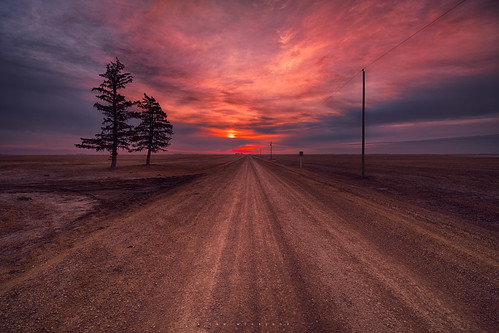 road trees canada sunrise photography nikon country saskatchewan ianmcgregor ianmcgregorphotographycom