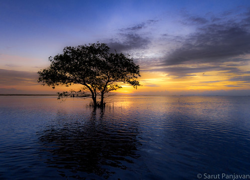 tree sun sunlight morning lake phatthalung sky clouds outdoor early reflection water public