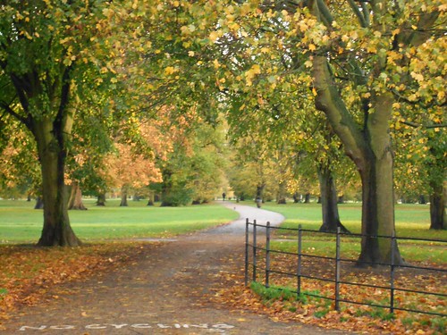 Both London hotels are close to the magnificent royal parks.