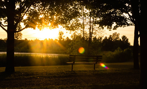 pond morning lensflare sunrise bench trees trail outdoors park beam nature rays silhouette whitchurchstouffville ontario canada ca