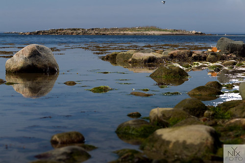 strand skåne sverige sten vatten hav stockphoto fika naturreservat inregrytskär yttregrytskär projectfika