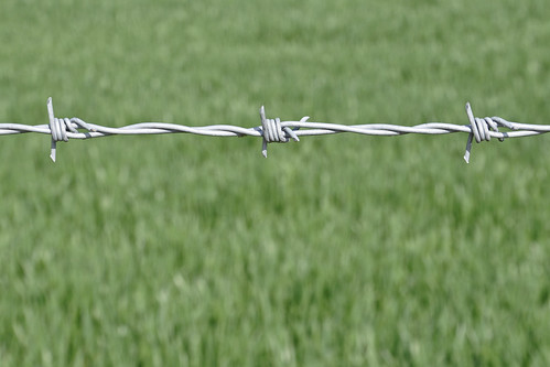 fence wire nikon barbed heyford mullineux