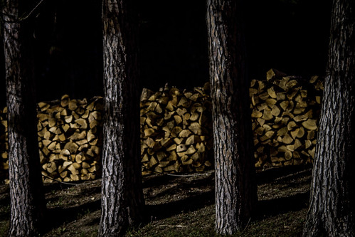 wood trees canada evening tripod treetrunk pinetrees woodpile f50 ruralliving ruralontario bulbmode cottagelife heatsource 6secondexposure canoneos7d canon7d sigma150500mm manfratotripod plevnaontario
