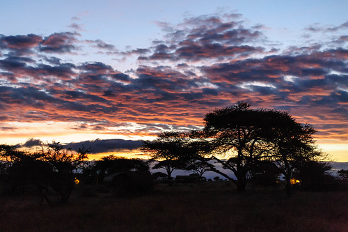 sky sun clouds sunrise tanzania elements serengetinp bariadi shinyanga namiriplains