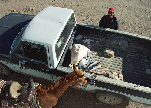 2003 people horse chihuahua truck mexico baseballbat mataortiz
