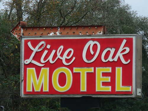 rust florida liveoak arrow smalltown motels plasticsigns vintagemotels