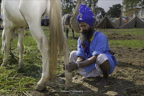 india sikh punjab horseman akali anandpursahib nihang gurugobindsingh holamohalla ਅਨੰਦਪੁਰਸਾਹਿਬ ਨਿਹੰਗ ਹੋਲਾਮਹੱਲਾ