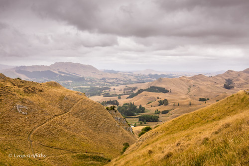 newzealand landscape cloudy hawkesbay coutryside lowcloud landscapephotography tukituki outdoorphotography