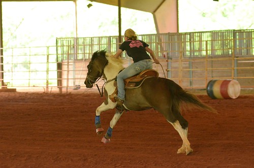 horse arena rider barrelracing barnesvillega flintriverarena
