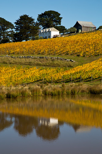 autumn reflection vineyard farm tasmania homestead tinderbox