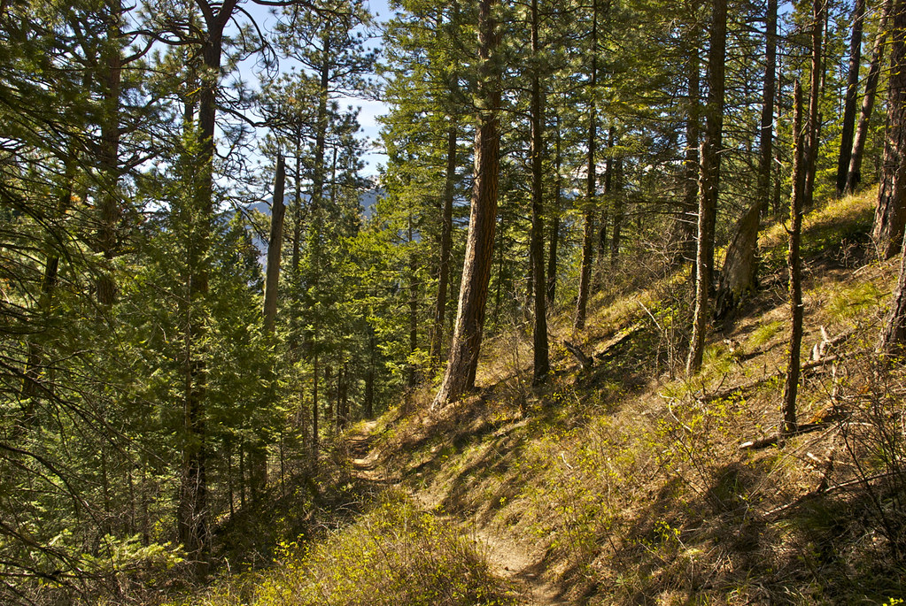Munson Creek trail