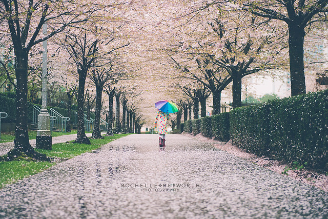Rainy but Beautiful Spring in Vancouver