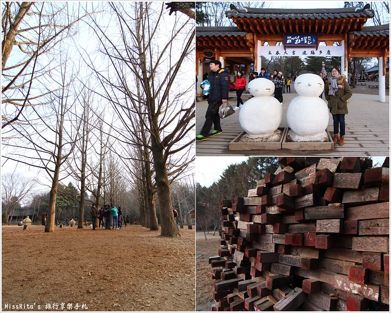 韓國 旅遊 韓國好玩 韓國 南怡島 韓劇景點 冬季戀歌場景 南怡島0