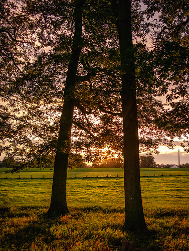 sunset trees sun beautiful grass evening rahden germany shine colours