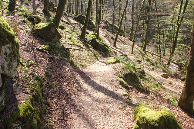 Mullerthal Trail 2: Berdorf - Consdorf