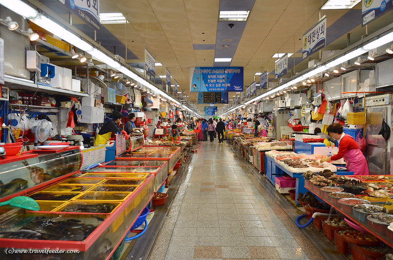 Jagalchi Market-30