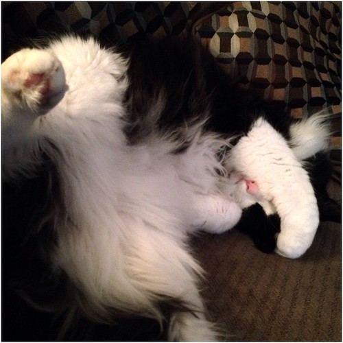 My sweet sleepy boy. #catsofinstagram #tuxedocats