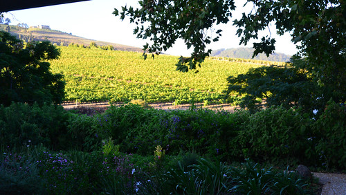 africa march vineyard estate view wine south jordan western tuesday cape suite luxury stellenbosch kloof 2015 mar2015 10mar2015