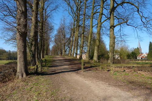 holland netherlands landscape nederland achterhoek landschap gelderland huisbergh sheerenberg panasonicdmcfz150 1200860