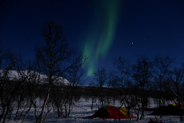 northern lights illuminating the skies above our camp