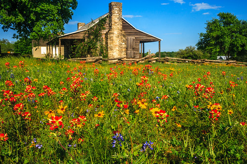 spring texas logcabin wildflowers independence washingtononthebrazos centraltexas