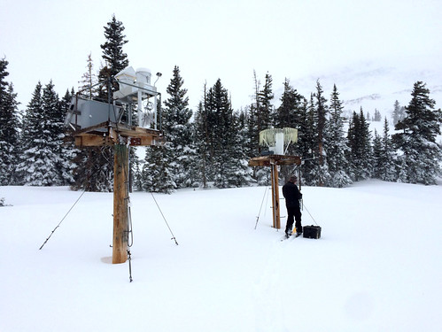 Apparatus for collecting precipitation samples, for analysis of atmospheric pollutants deposited in precipitation, located at West Glacier Lake in Montana. U.S. Forest Service photo.