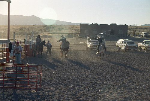 2003 sunset people horse chihuahua truck mexico desert rodeo lasso chihuahuandesert mataortiz