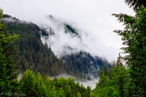 trees mist mountains nature fog alaska unitedstates ak juneau 2014