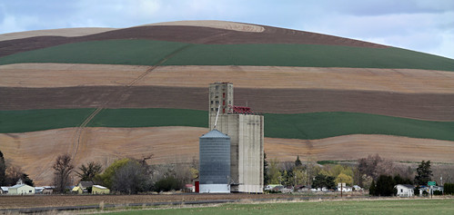 usa color washington unitedstates farm stripes wheat agriculture grainelevator waitsburg ooolookit