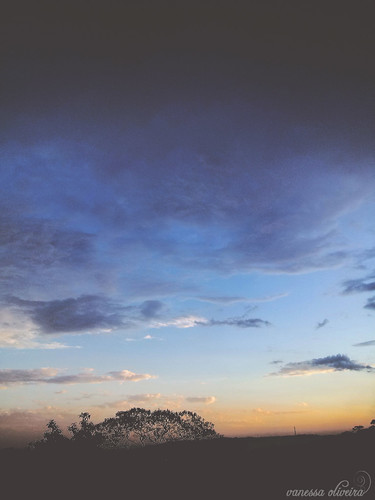 blue sunset sky tree clouds céu brasilemimagens