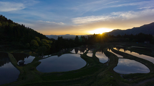 sunlight mountain reflection water field japan quiet rice terrace sony hyogo 1018mm 三方郡 nex7 sel1018 うへ山
