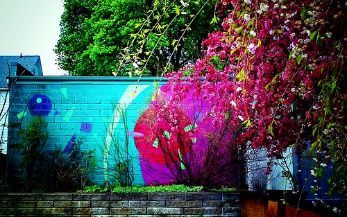 urbanlandscape vibrantcolors muralart universityofakron