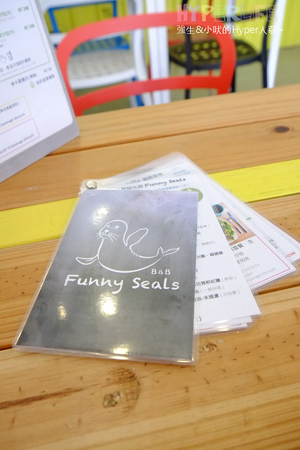 funny seals (47)