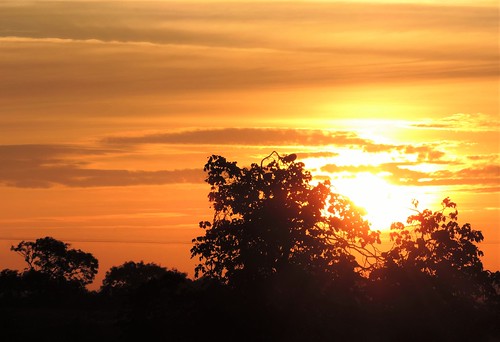 window sunrise morning summer melton countryside leicestershire trees sun sky