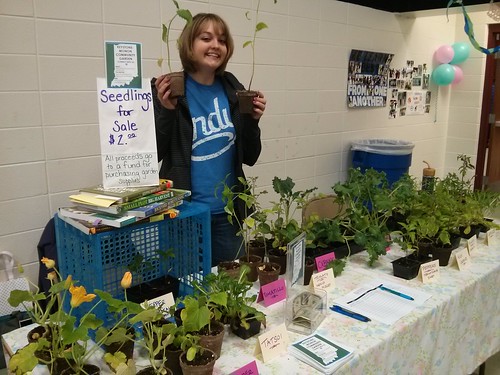 20150425. Seedling sale at IPS School 91's Our Community Day.
