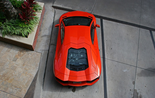 from above roof orange plants cars coffee car bay cool texas view angle top vanity engine houston saturday plate aerial asshole lp license 700 lamborghini meet supercar v12 lambo 7004 worldcars aventador lp700 lp7004 sumosloths 370h55v 37oh55v