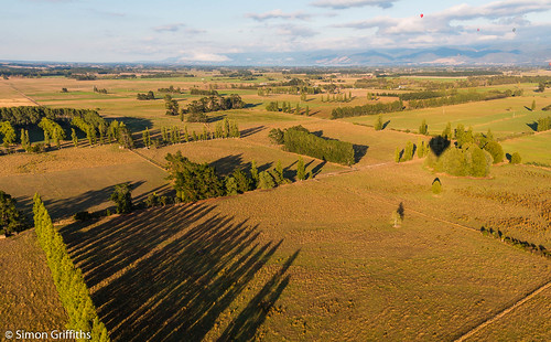 trees newzealand simon balloons landscape fiesta shadows farm hotair aerial farmland pasture wellington wairarapa greytown griffiths 2015 simongriffiths morrisonsbush