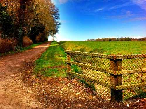 trees ireland irish field grass fence landscape path cork bluesky haha munster paddock hff donerailepark ilobsterit