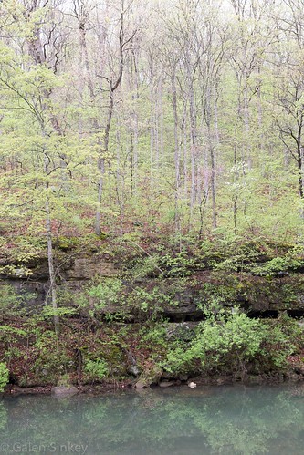 lake reflection rural creek forest spring unitedstates missouri april marktwainnationalforest douglascounty 2015 willowsprings noblettlake avarangerdistrict noblettcreek