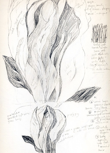 pencil sketch of Virgo