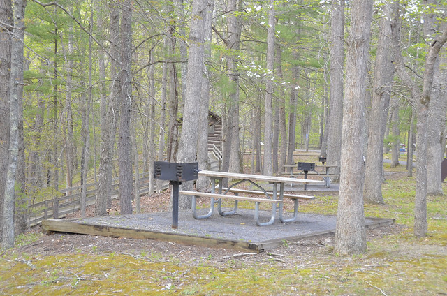 Camp Malone picnic area provides tables and charcoal grills at no extra charge at Douthat State Park Virginia