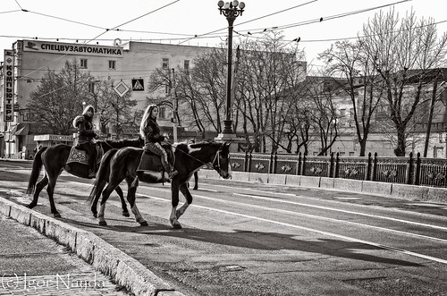 Horseback riding in Kharkov