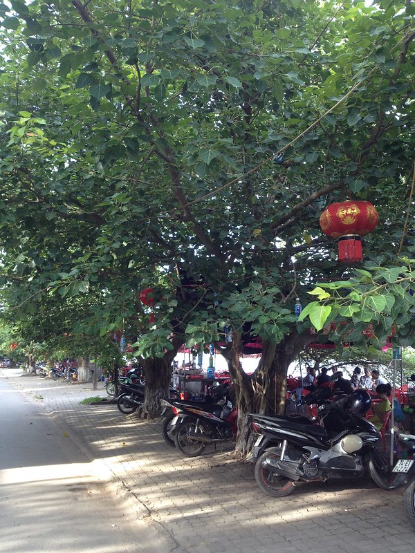 Trip to Quang Tri (158)