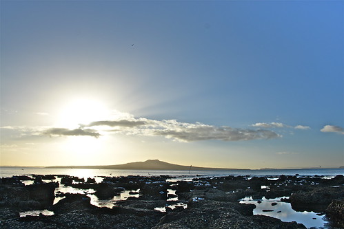 sea newzealand beach nature sunrise rocks northshore northisland tranquil takapuna takapunabeach